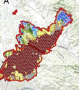 redicting fire spread and behaviour on the fireline. Wildfire analyst pocket: A mobile app for wildland fire prediction