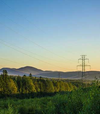 Utility lines near green vegetation