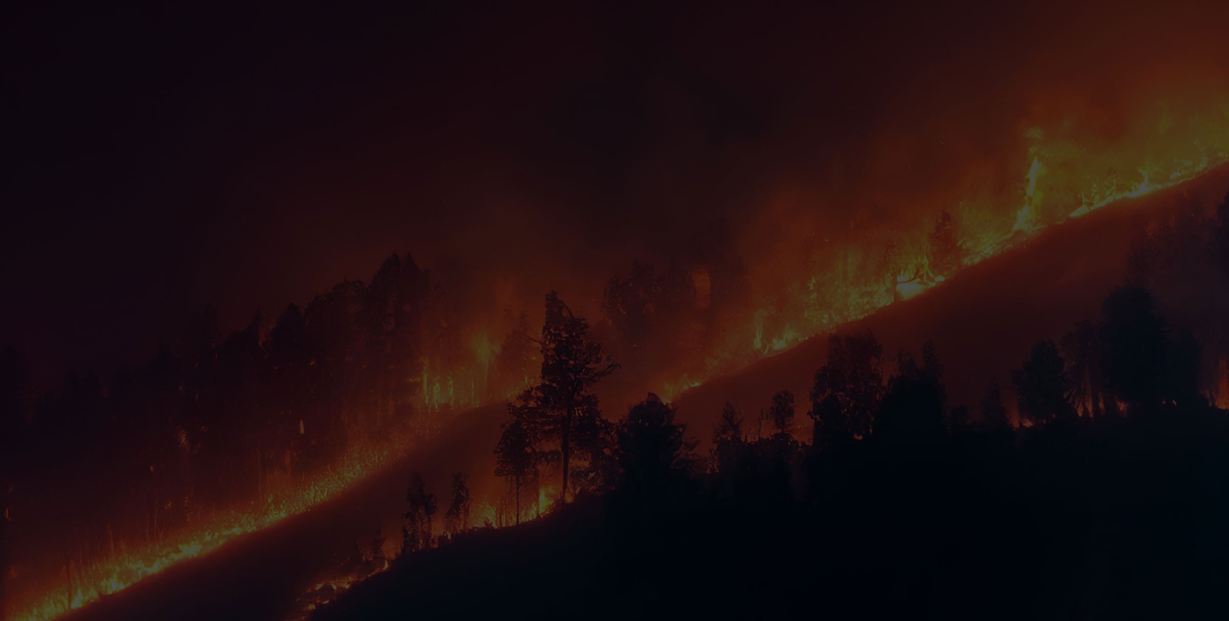 Wildfire at night