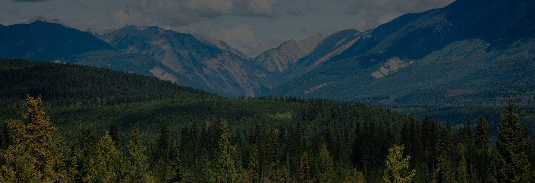 Mountain landscape photo with lush forest