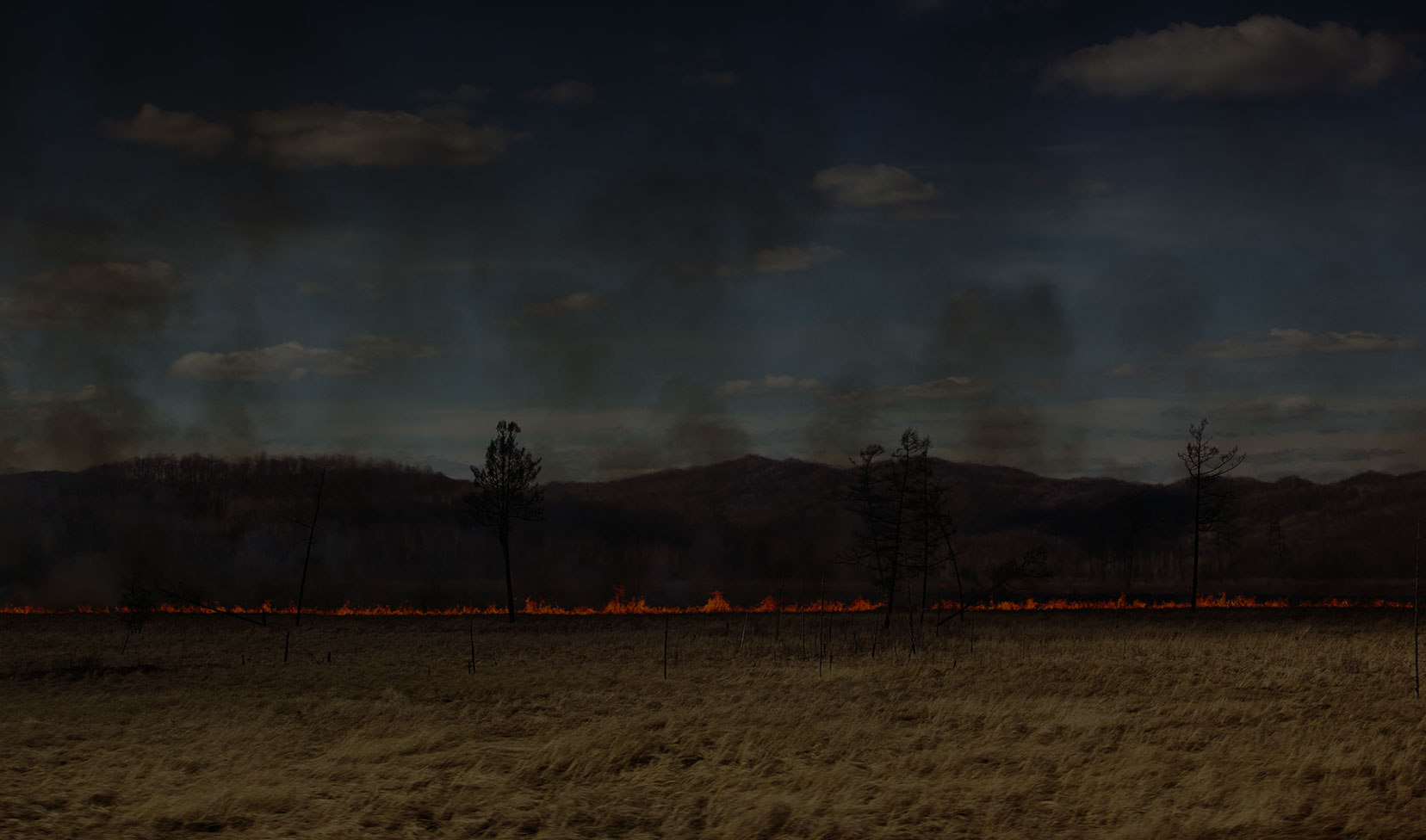 Fire spreading across dry grass