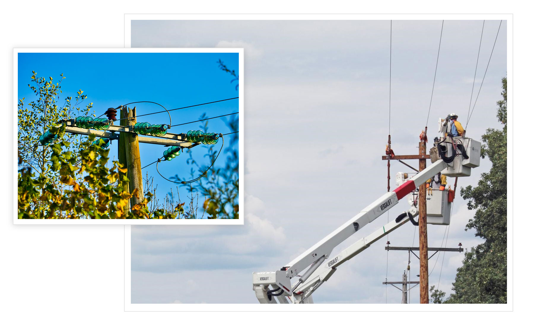photo of utility workers cutting vegetation near power lines