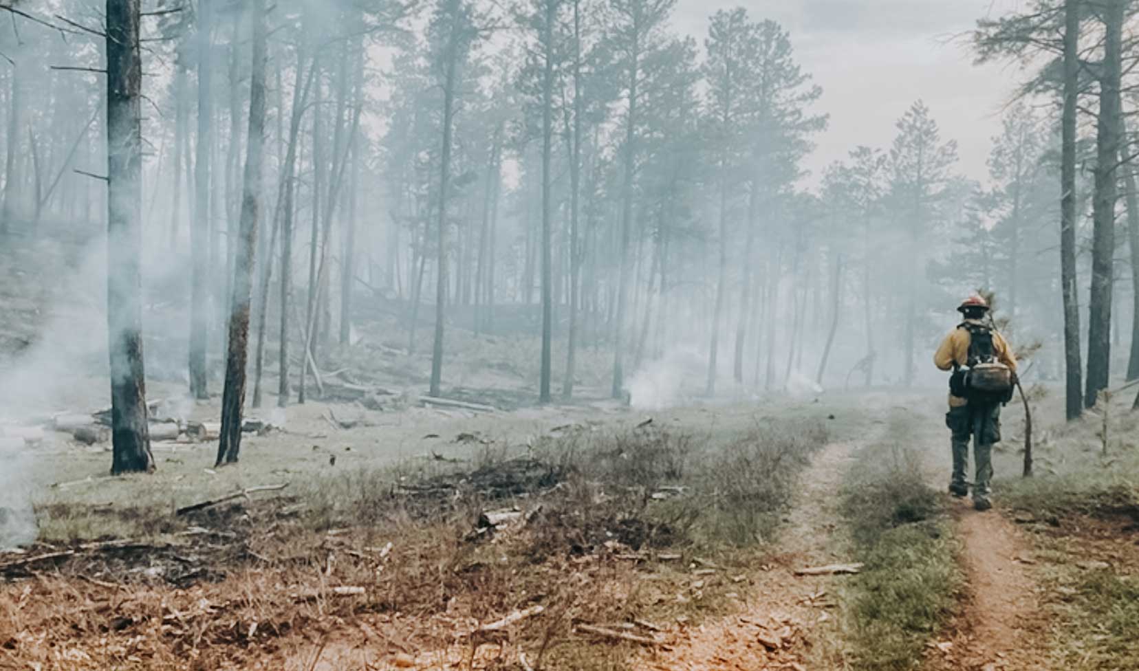 Firefighter in the field