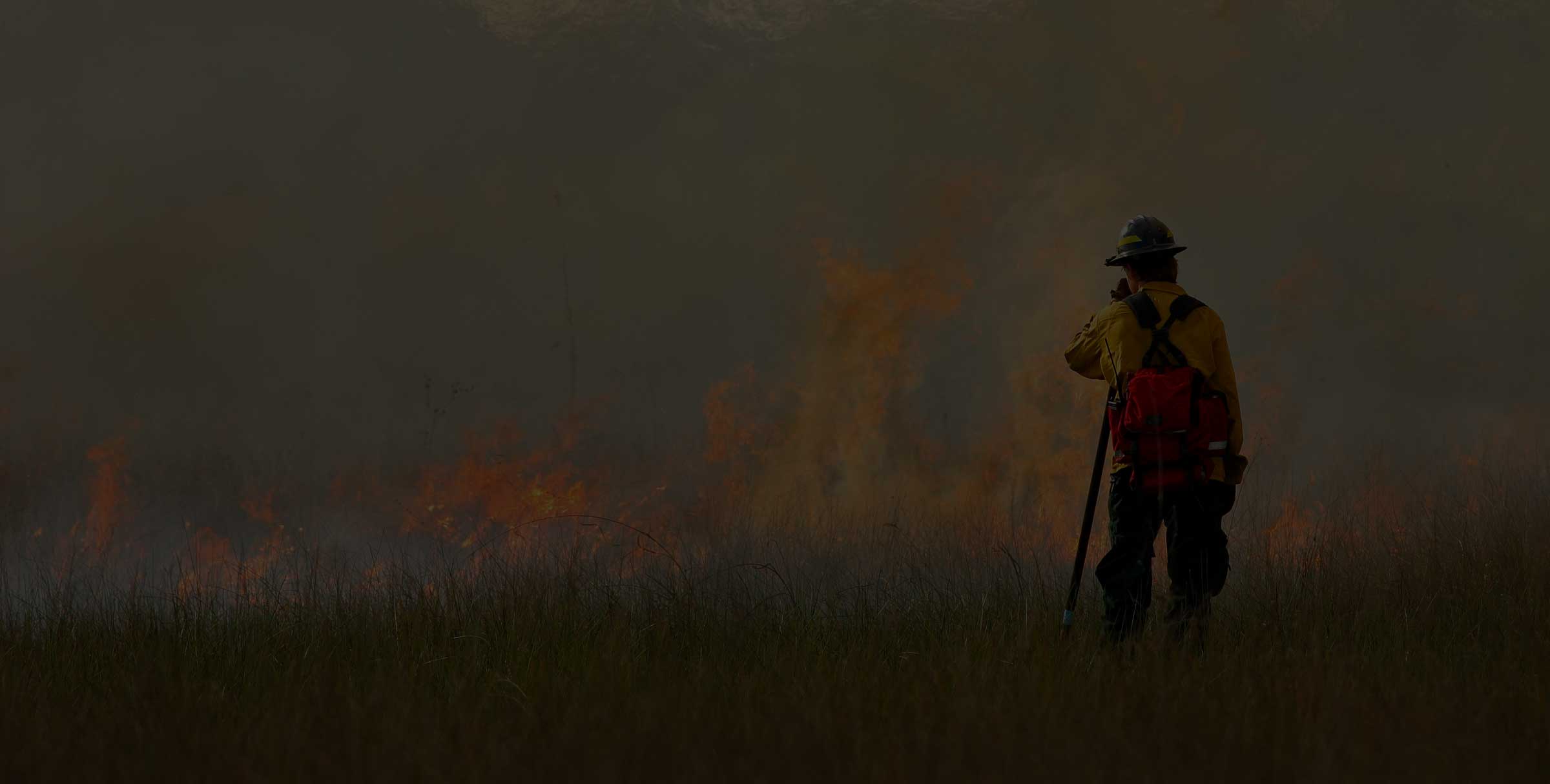 firefighter standing in front of a brush fire