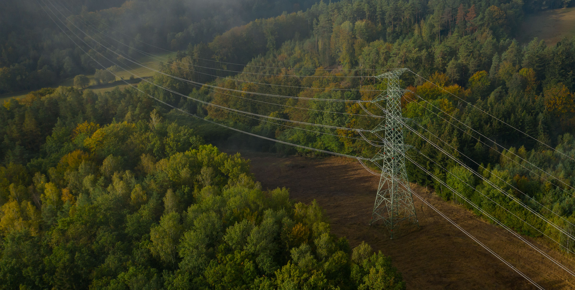 Power lines in a field of greenery