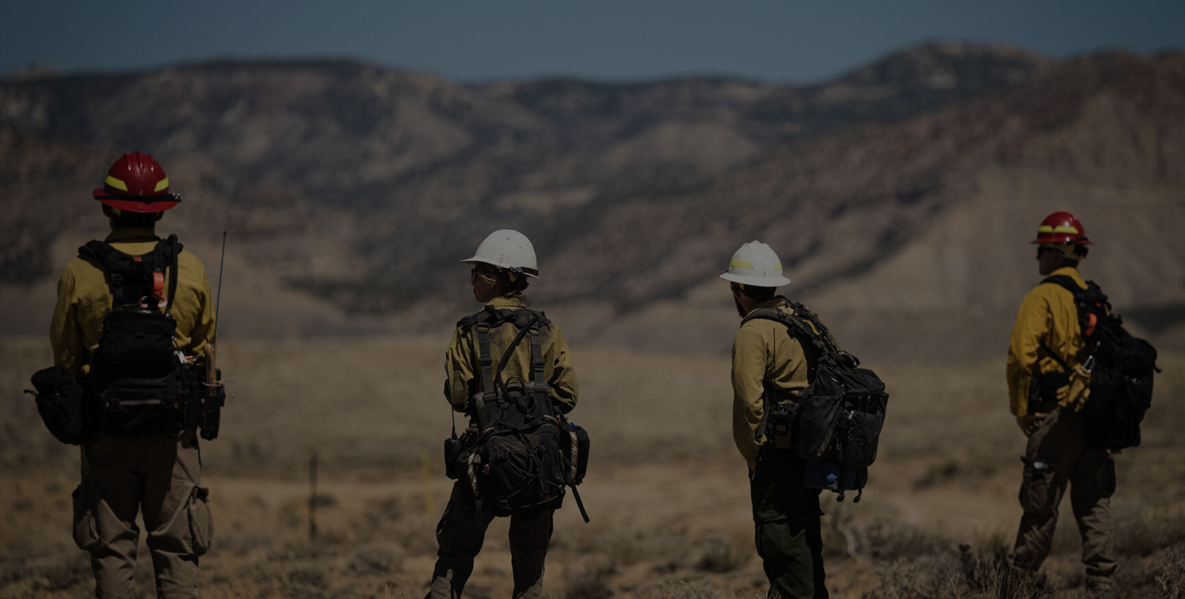 Wildland firefighters wearing Nomex PPE overlooking a wildfire training exercise