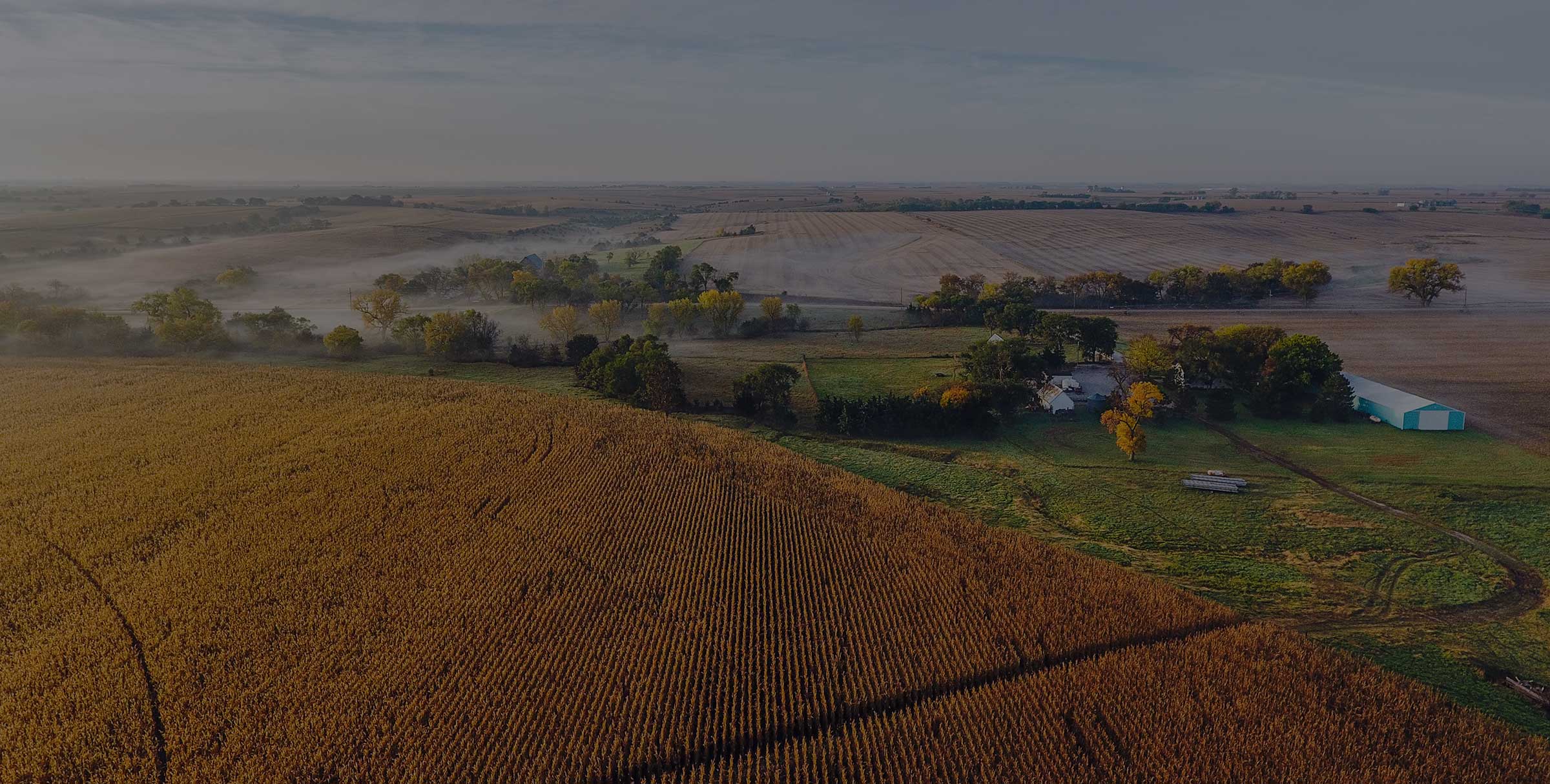 Vast farmland with dry vegetation